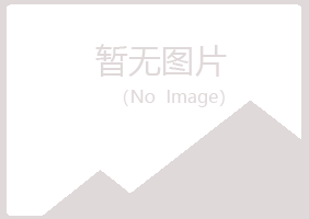 乐安县凌雪化学有限公司